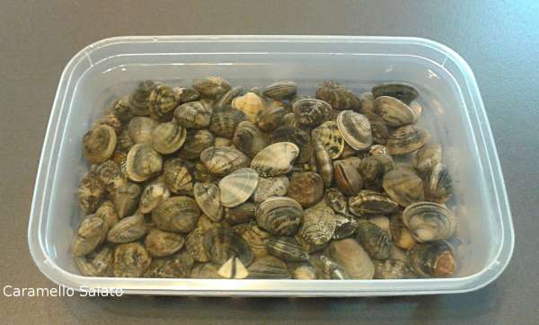 leggermente salata e lasciarle spurgare per almeno 2 ore