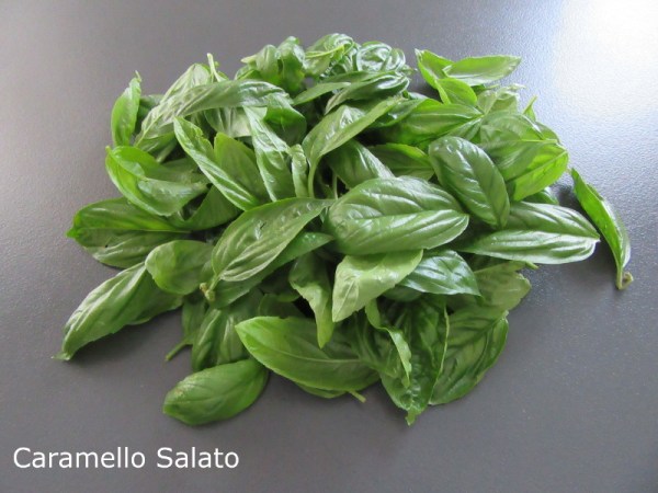 Pesto alla genovese ricetta Pesto alla genovese ricetta