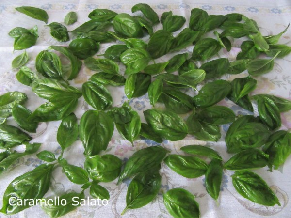 Pesto alla genovese ricetta Pesto alla genovese ricetta