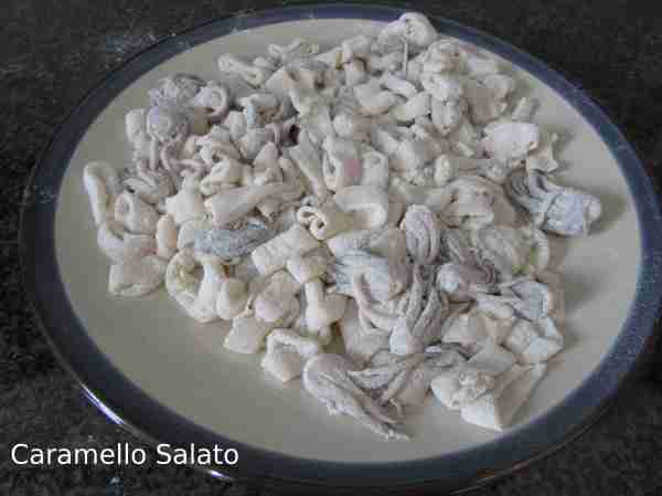 Calamari-fritti