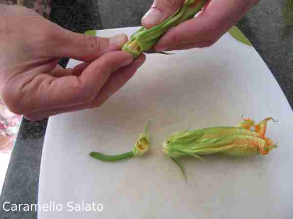 Ricetta frittelle dolci di fiori di zucca