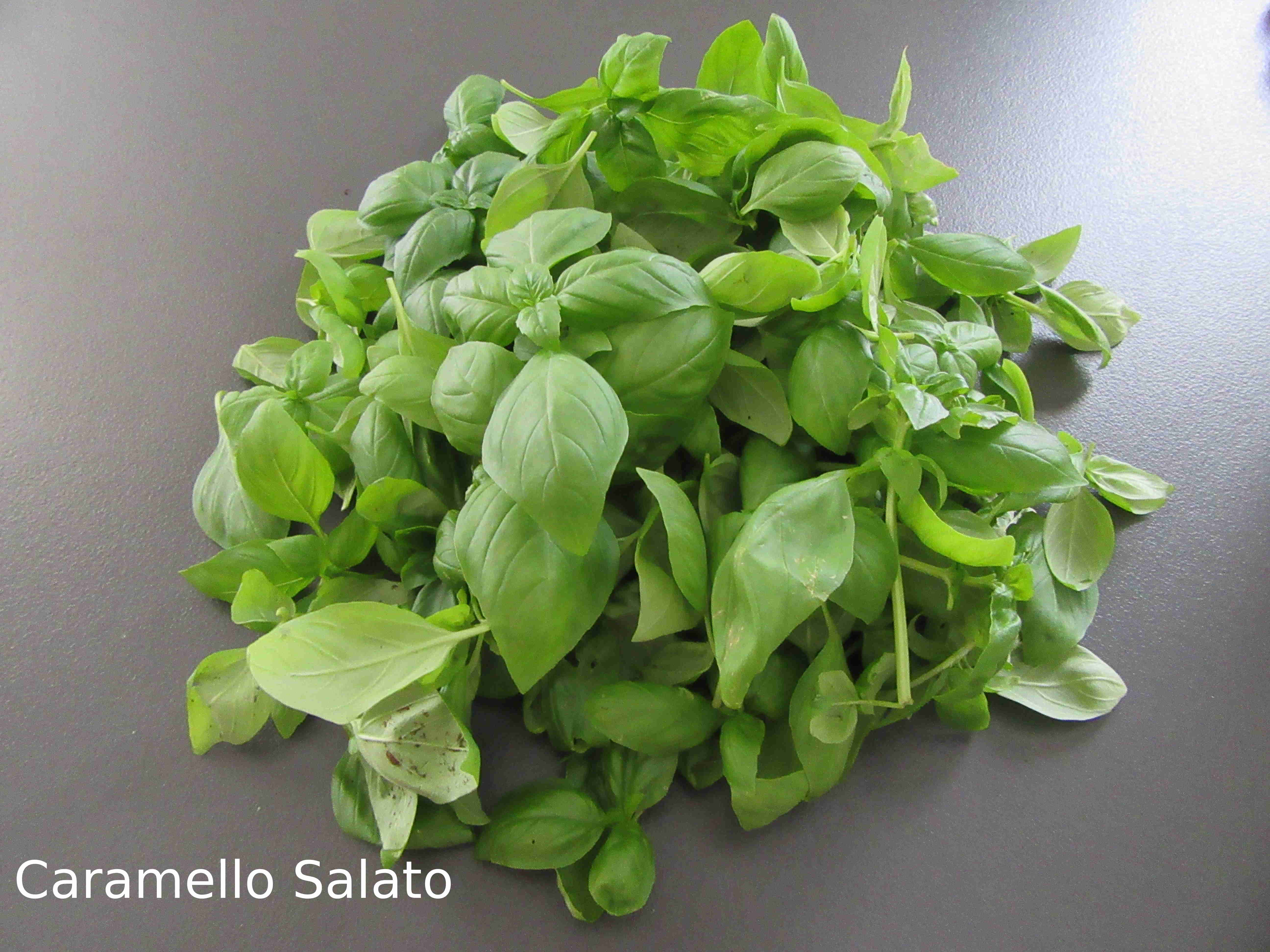 Pasta al pesto di tonno e basilico – Caramello Salato