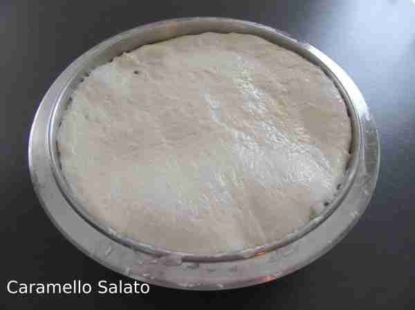 Ricetta Pizza Bonci Ricetta Pizza Bonci